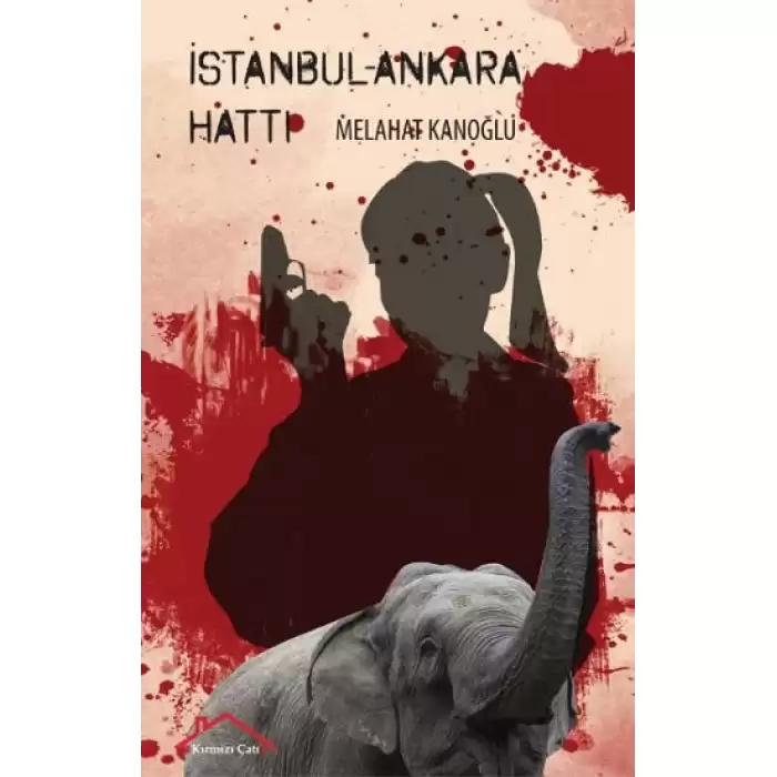 İstanbul - Ankara Hattı