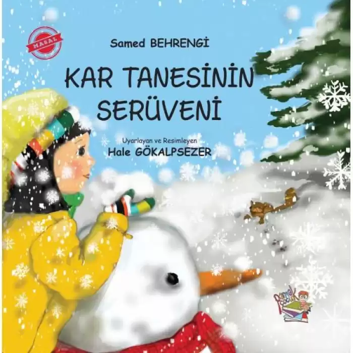 Kar Tanesinin Serüveni