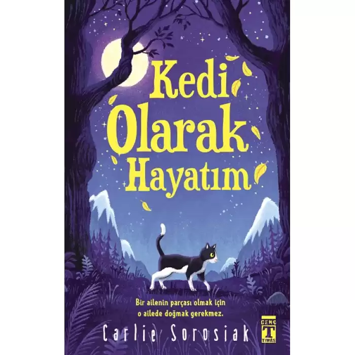 Kedi Olarak Hayatım