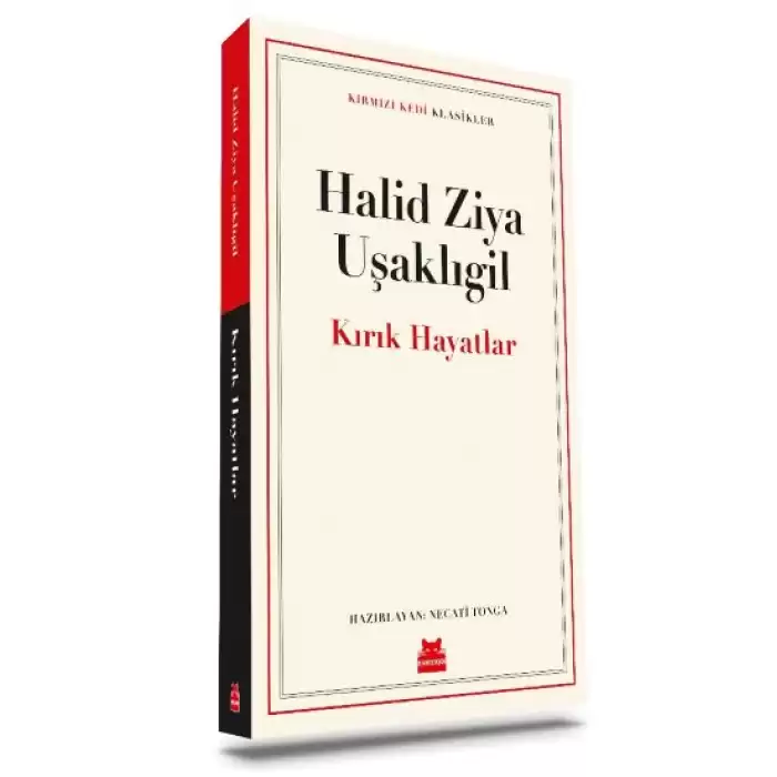 Kırık Hayatlar