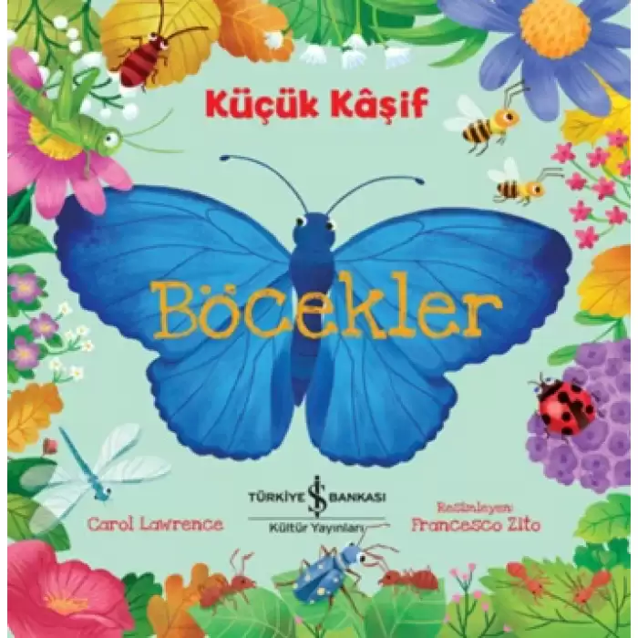 Böcekler - Küçük Kaşif