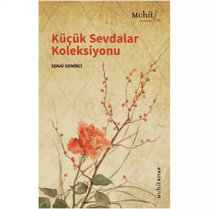 Küçük Sevdalar Koleksiyonu