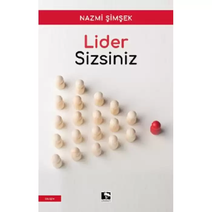 Lider Sizsiniz