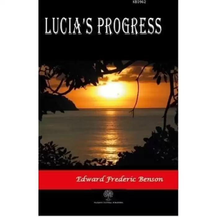 Lucias Progress