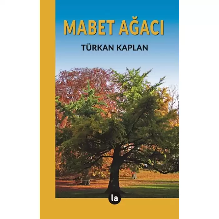 Mabet Ağacı