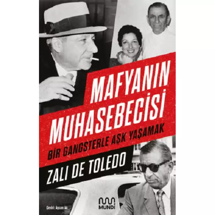 Mafyanın Muhasebecisi