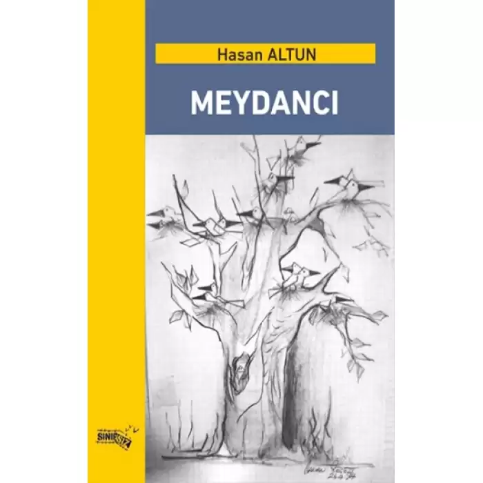 Meydancı