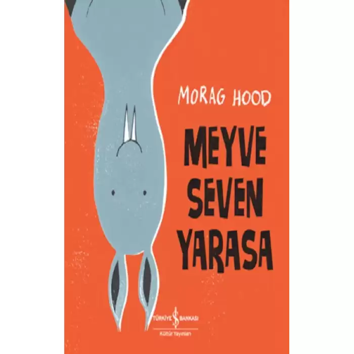 Meyve Seven Yarasa