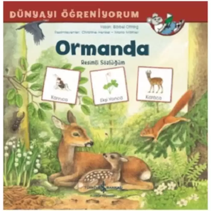 Ormanda - Dünyayı Öğreniyorum