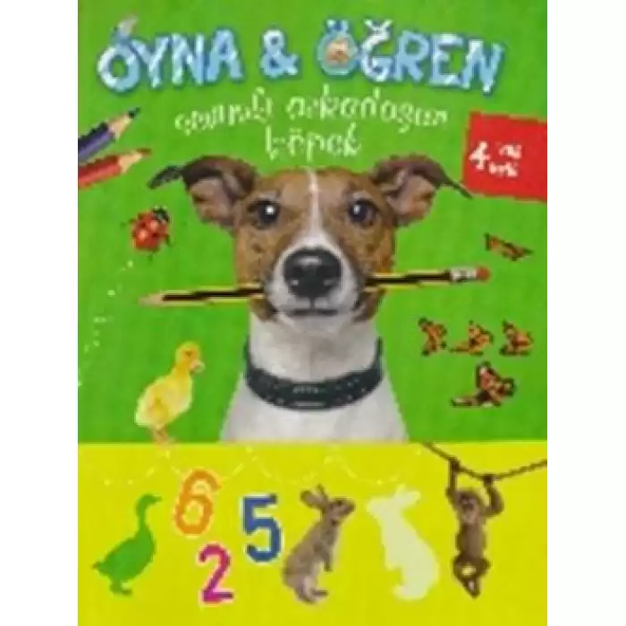 Oyna - Öğren / Sevimli Arkadaşım Köpek