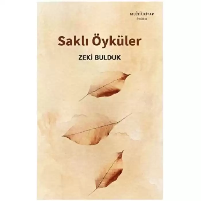 Saklı Öyküler