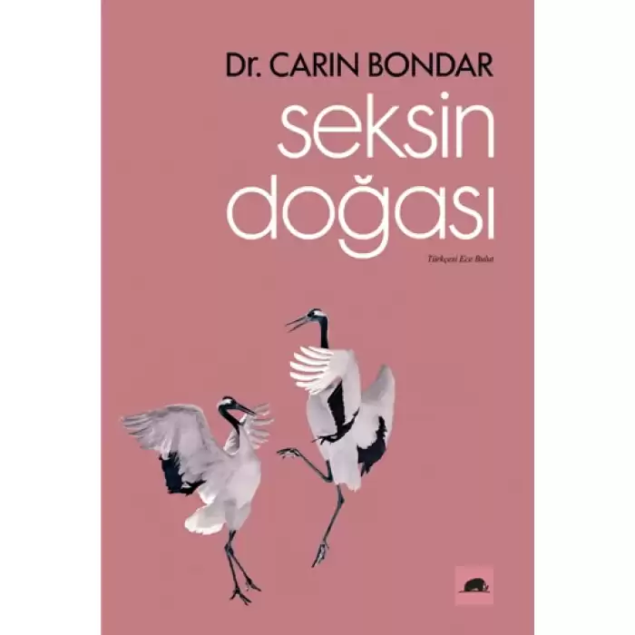 Seksin Doğası