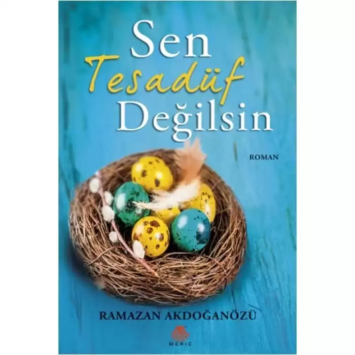 Sen Tesadüf Değilsin