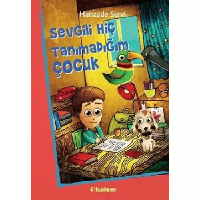 Sevgili Hiç Tanımadığım Çocuk