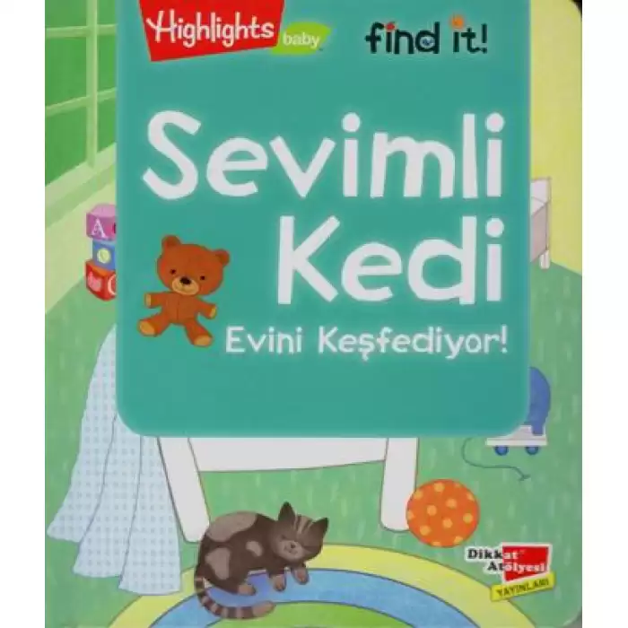 Sevimli Kedi Evini Keşfediyor