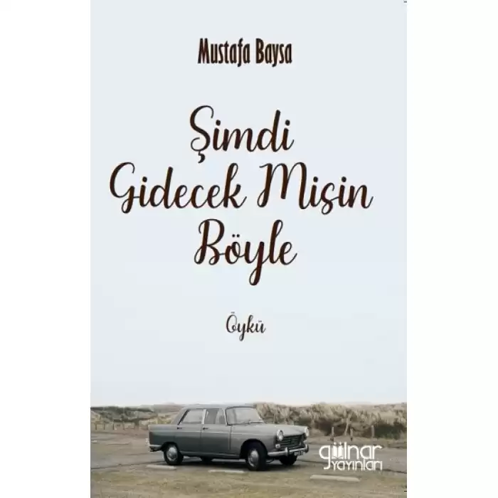 Şimdi Gidecek Misin Böyle