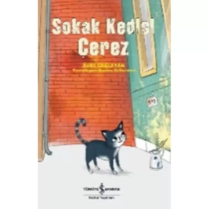 Sokak Kedisi Çerez