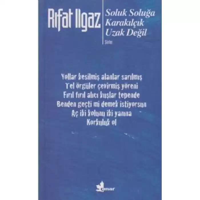 Soluk Soluğa Karakılçık Uzak Değil - Şiirler 1962-1969-1971