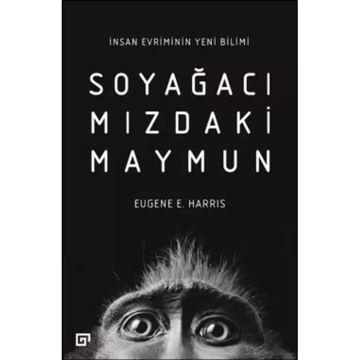 Soyağacımızdaki Maymun-İnsan Evriminin Yeni Bilimi