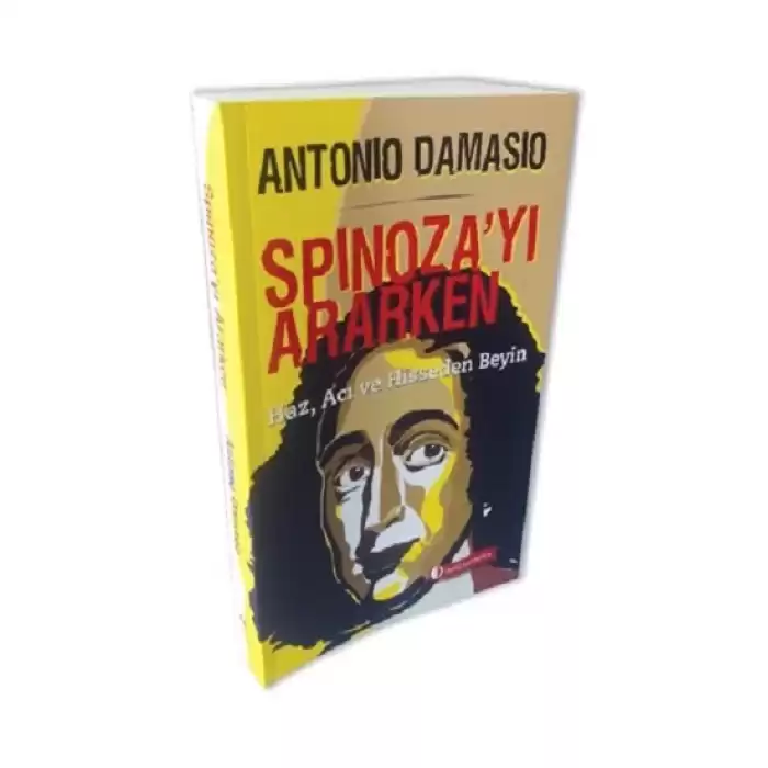 Spinoza’yı Ararken