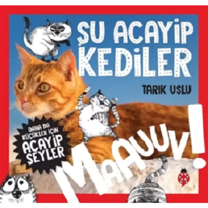 Daha da Küçükler İçin Şu Acayip Kediler - Daha da Küçükler İçin Acayip Şeyler 1