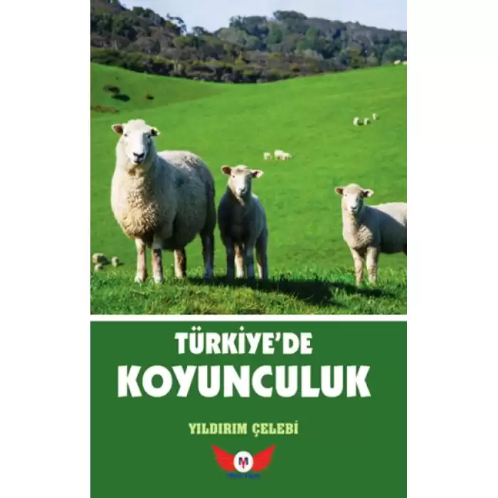 Türkiyede Koyunculuk