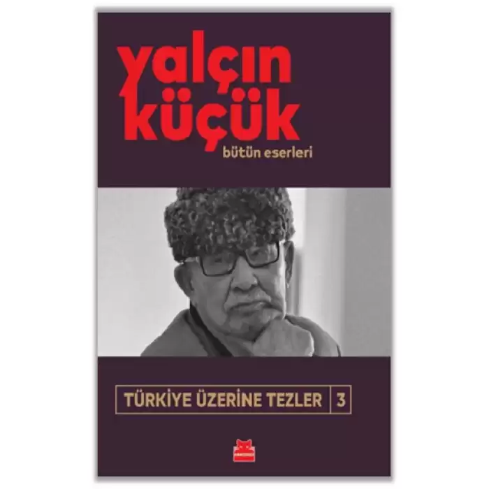 Türkiye Üzerine Tezler 3