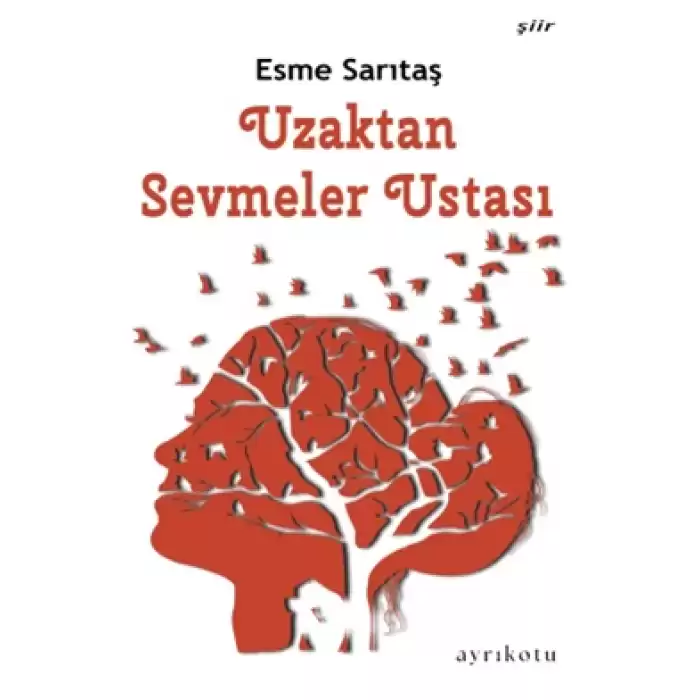 Uzaktan Sevmeler Ustası