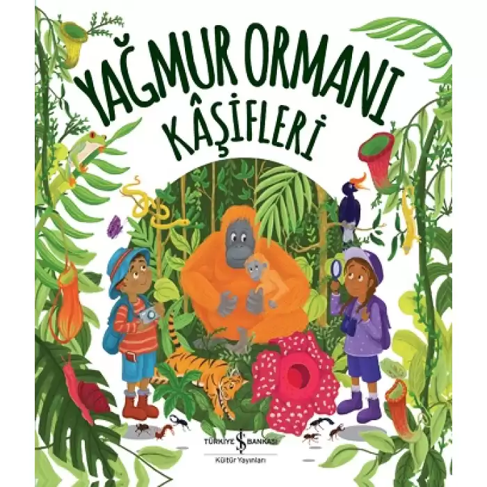 Yağmur Ormanı Kaşifleri