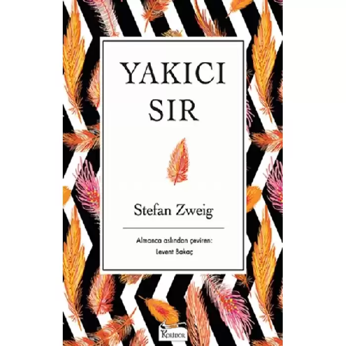 Yakıcı Sır (Ciltli)