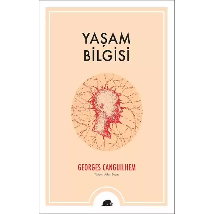 Yaşam Bilgisi