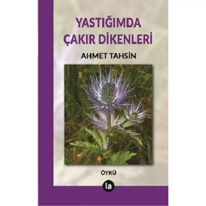 Yastığımda Çakır Dikenleri