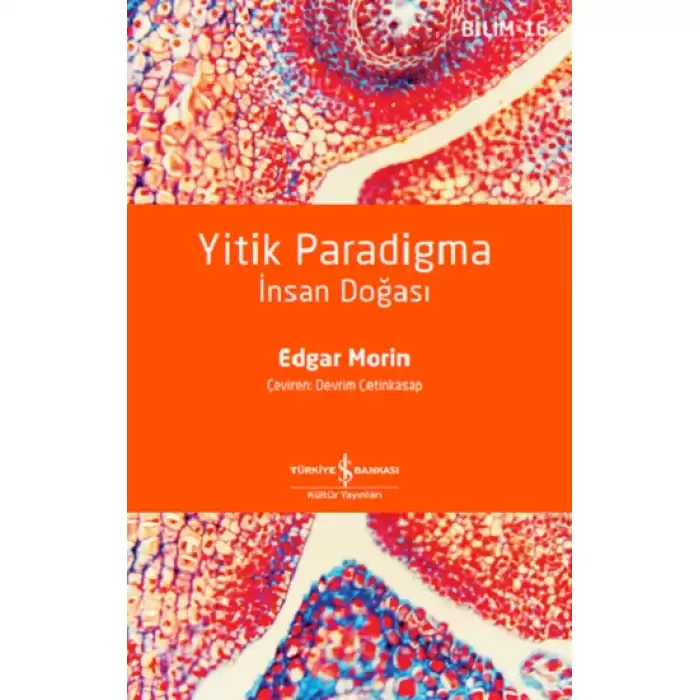 Yitik Paradigma – İnsan Doğası