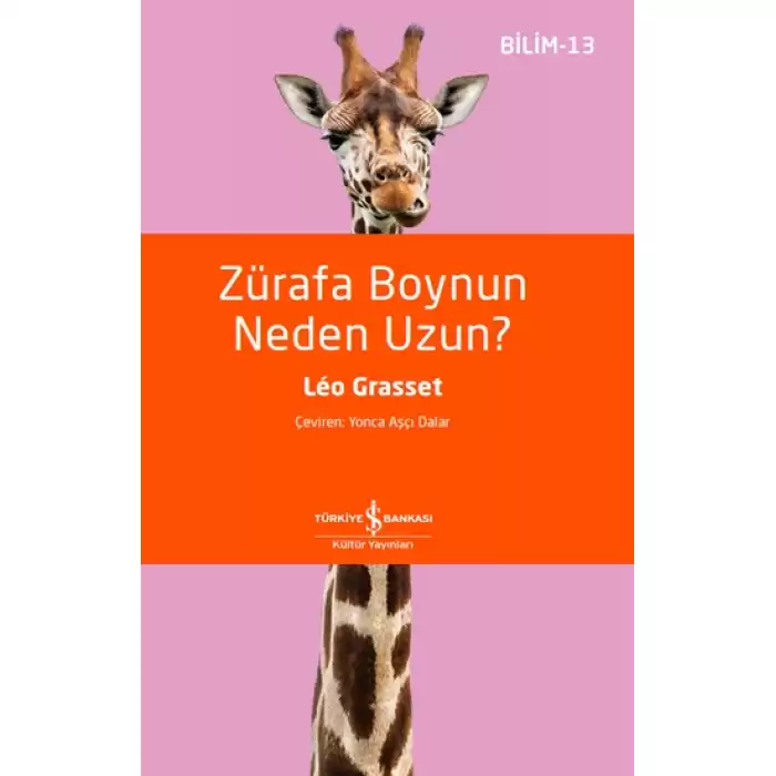 Zürafa Boynun Neden Uzun?