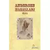 Andersen Masalları Cilt: 2 (Ciltli)