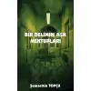 Bir Delinin Aşk Mektupları