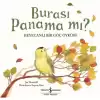 Burası Panama mı?