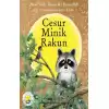 Cesur Minik Rakun