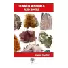 Common Minerals and Rocks