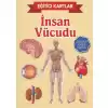 Eğitici Kartlar İnsan Vücudu