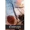 Entropi