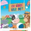 Ev Gibisi Var Mı?