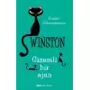 Gizemli Bir Ajan - Winston (Ciltli)