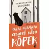 Hayal Kurmaya Cesaret Eden Köpek