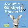 Kanguru Renkleri Öğreniyor