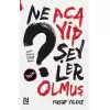 Ne Acayip Şeyler Olmuş