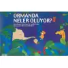 Ormanda Neler Oluyor?