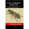 Our Common Insects