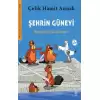 Şehrin Güneyi - Meraklı Martılar ve Çevremiz 2. Kitap