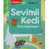 Sevimli Kedi Evini Keşfediyor